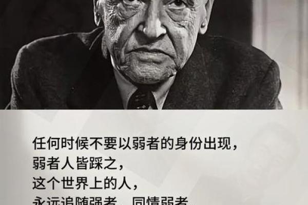 探寻人生的真谛：揭秘最准的天命与命运之道
