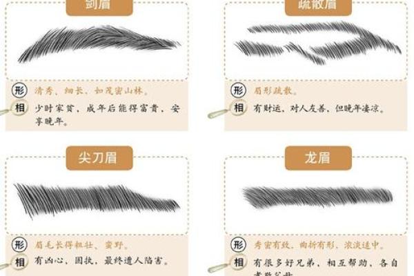 男人眉毛短的命运解析：短眉的性格与运势之谜