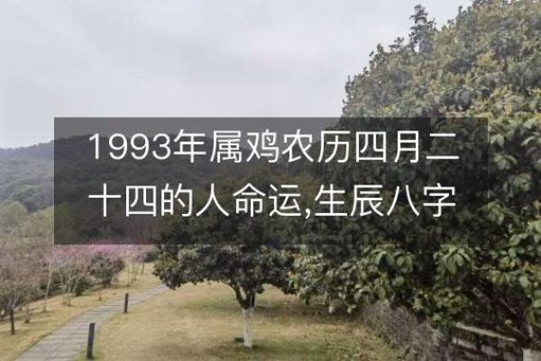 鸡年出生的人性格特征与命运解析