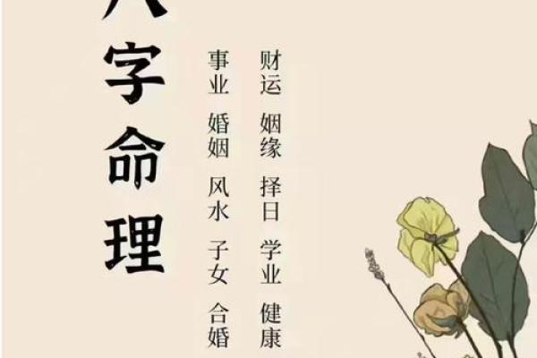 探寻命格的奥秘：算卦者的命运之道与人生哲学
