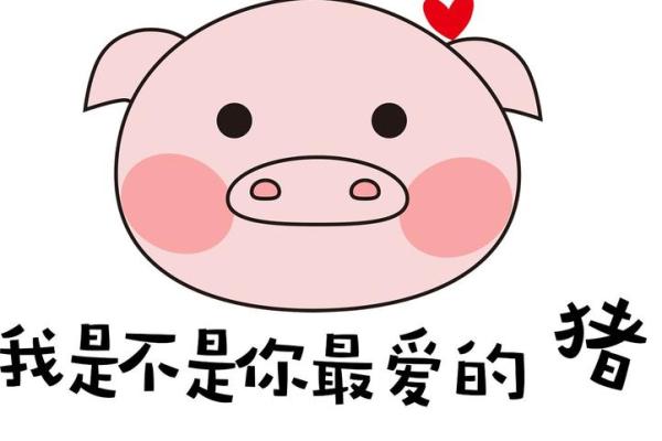 2028年猪年命运分析：财富、爱情与健康的全方位解读