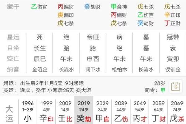 丙子年壬辰命：探寻命理中的智慧与机遇