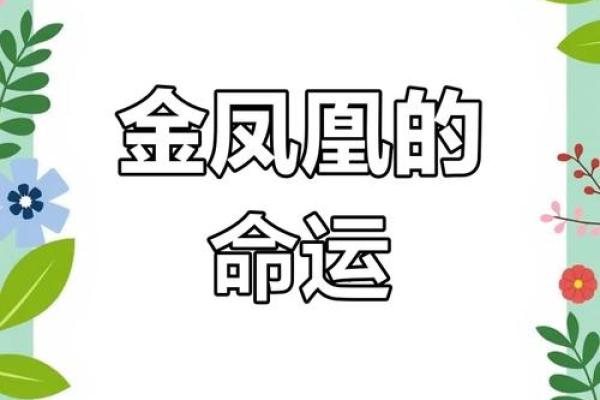 纯阳女命与凤凰命：命理中的灵性象征与人生启示