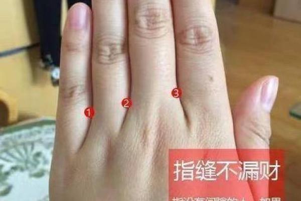 解析美丽与命运：漂亮的人属什么命？