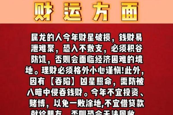 2024年出生宝宝的命运与生肖解析：揭开未来之谜！