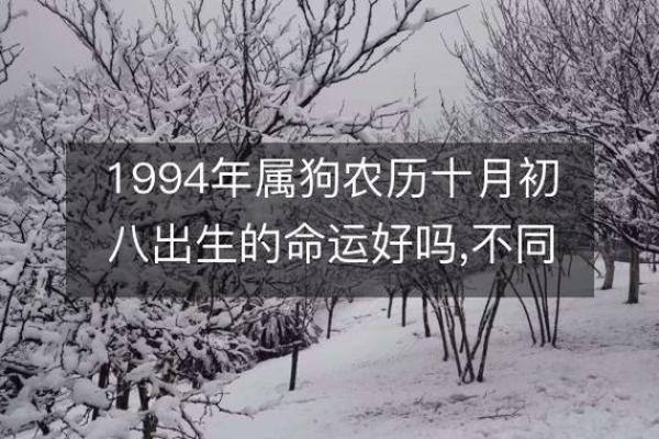 1994年属狗人的命运解析与人生智慧