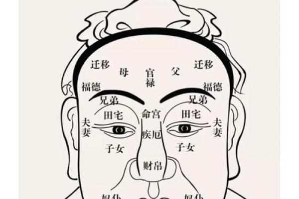 了解木命与属相：哪些人属于木命，如何影响命运与性格