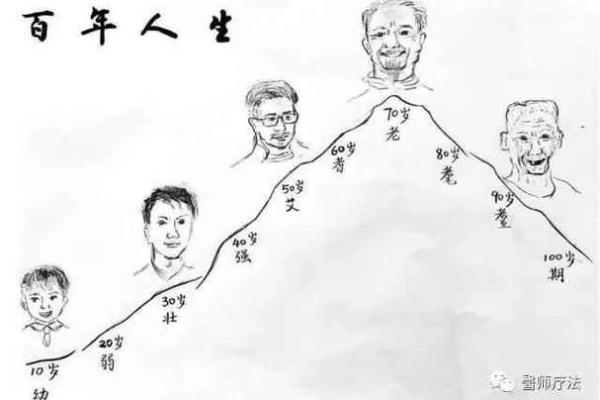根据木火命生个什么孩子，探寻命理与人生的奥秘