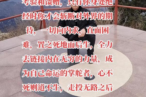 探寻一九七八年出生者的命运：性格、事业与爱情的深度剖析