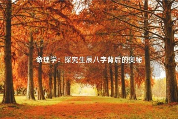 探寻阴历8月28日出生的命理奥秘与人生轨迹