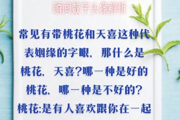 揭秘平衡命格：内心的和谐与外界的交汇