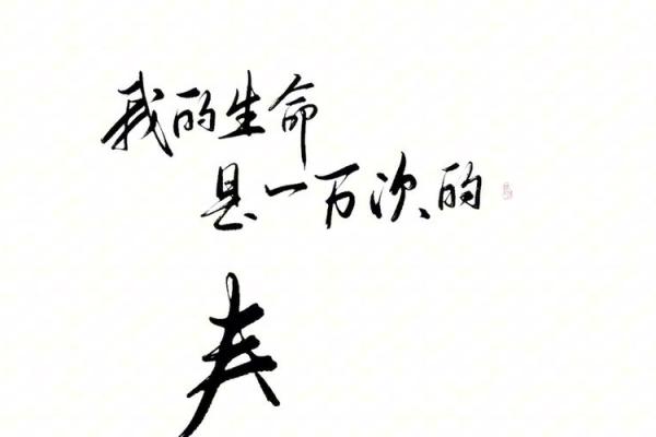 盛命：生命的极致体验与丰盈追求