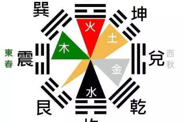 火命人士适合的色钱包选择与风水分析