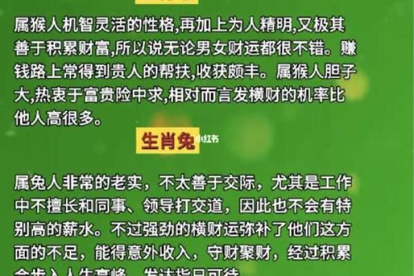 2031年属什么生肖、命理解析与生活指南