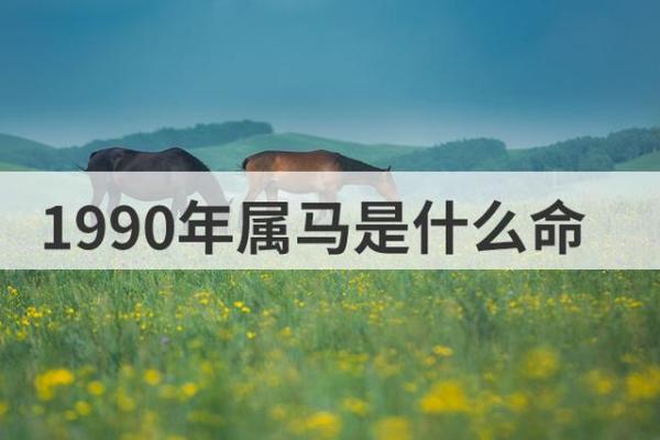 探索乙亥年命人的命理特征与人生运势秘诀