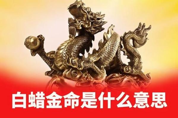 论金的金命：探究何种金命最佳，提升运势之道