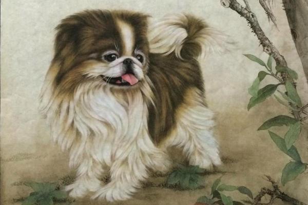 1994年属狗人的命运解析：好兆头与发展之路