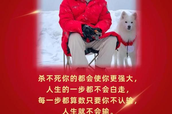 命里有三个杀，这样的人生你怎么掌握？探秘命理奥秘！
