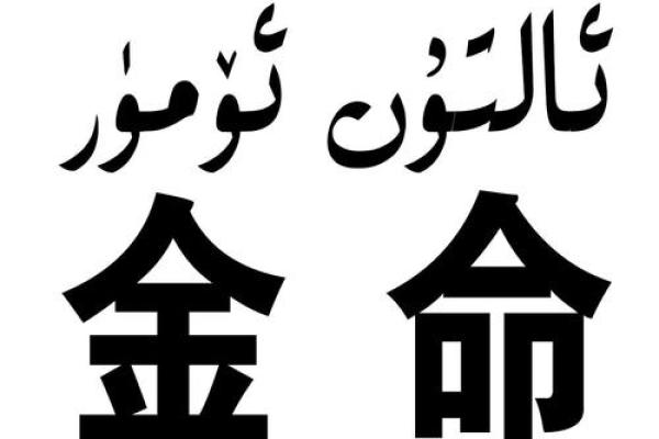 两个金命的父母，适合生什么命的宝宝？