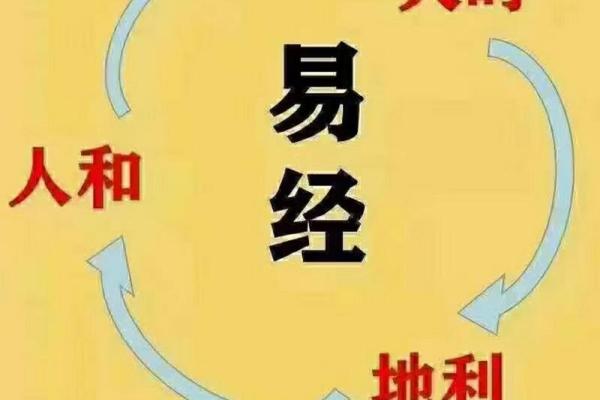 午时大海水命：探寻缺失的元素与运势提升之道