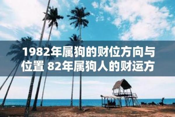 82属狗男命格解析：性格、事业与感情之路