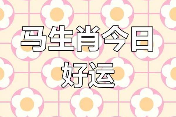 2014年出生的属马人：金命运势与生活智慧探秘