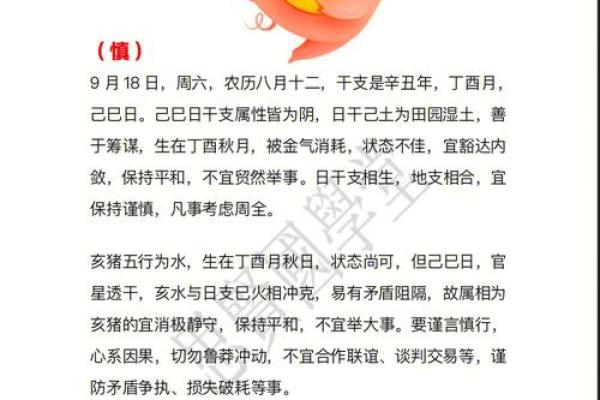 1995年出生的人，属猪，命理解析与人生启示