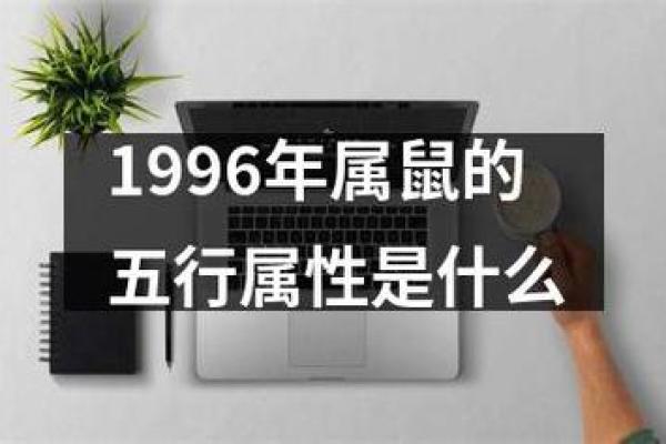 1972年老鼠的命运：解读其背后的深意与象征