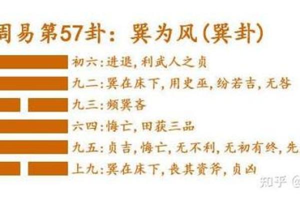 1983年女性命运解析：属于的卦象与人生启示