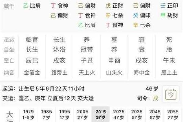 己卯年的命理解析：生肖与命格的深度剖析与启示