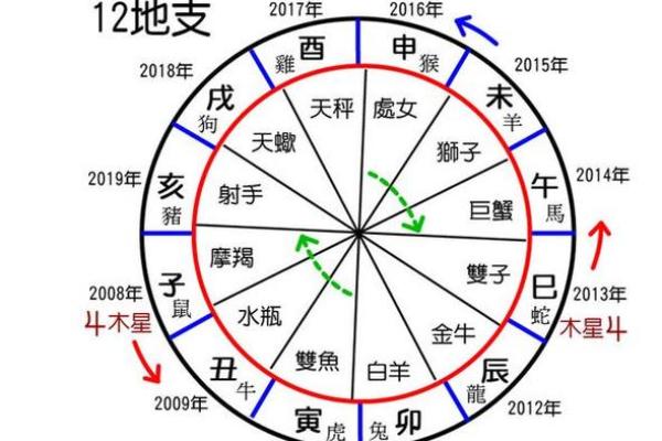 己卯年的命理解析：生肖与命格的深度剖析与启示