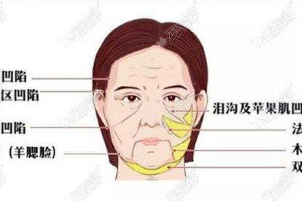 面部凹陷的男人：命运与内心的深刻剖析