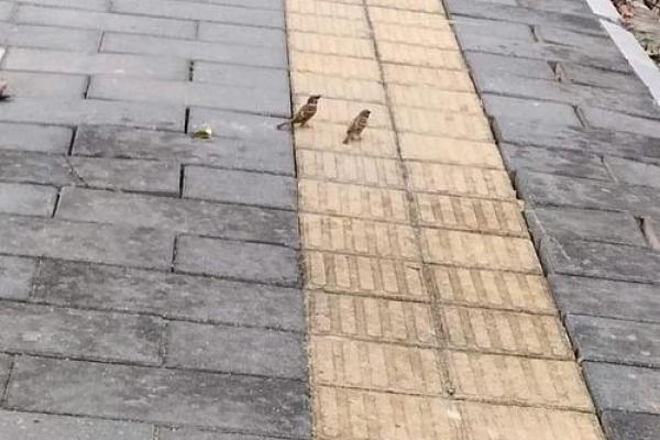 男女命占卜：生命交织下的宿命与选择探秘