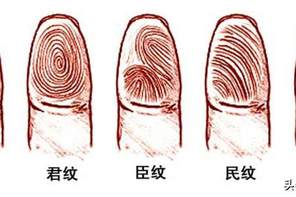 探秘胡适的人生命局与命运格局的奥秘
