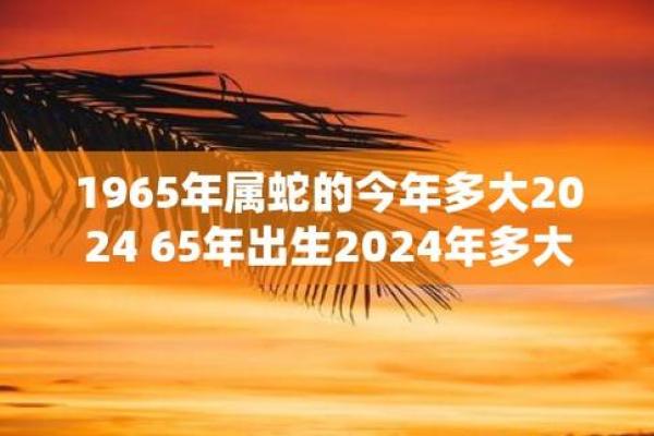 揭秘蛇年出生者的命运与性格特点：1965年的蛇命之谜