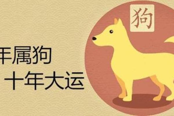 1986年属狗人的命运与性格特征解析