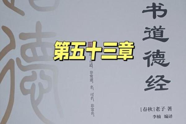 有财避难的命：探寻财富与安全的平衡之道