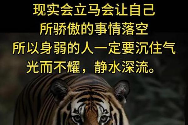 有财避难的命：探寻财富与安全的平衡之道