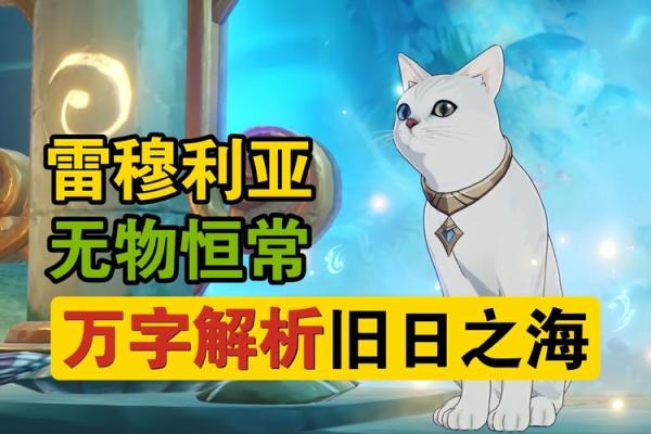 探寻命局与命理局之间的隐秘关系：命运的密码与解析