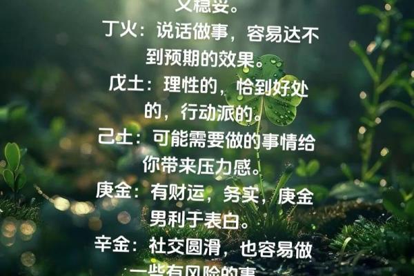 壬辰年出生人的命运与性格解析，探秘人生轨迹与命理之谜