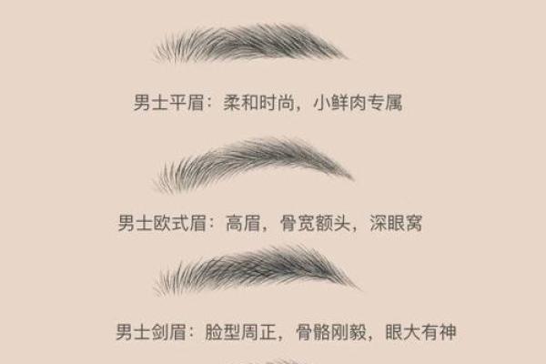 揭秘男人眉毛中间连着的命运之谜：从相学看人生轨迹