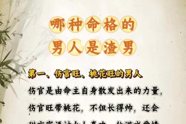 命格之谜：从八字看贵子命的奥秘与揭示