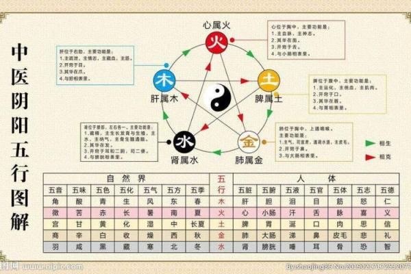 体弱之人命格解读：如何在阴阳中找到平衡与力量
