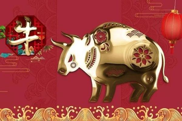 辛丑壁上土命的深入解析与生活应用