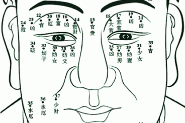 探秘辛巳年出生者的命运与性格特征 探秘辛巳年出生者的命运与性格特征