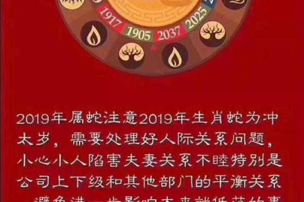 83年属猪女孩命运解析与人生智慧分享