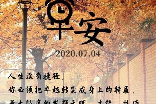 探索午时出生的人生特质与命运解析 探索午时出生的人生特质与命运解析