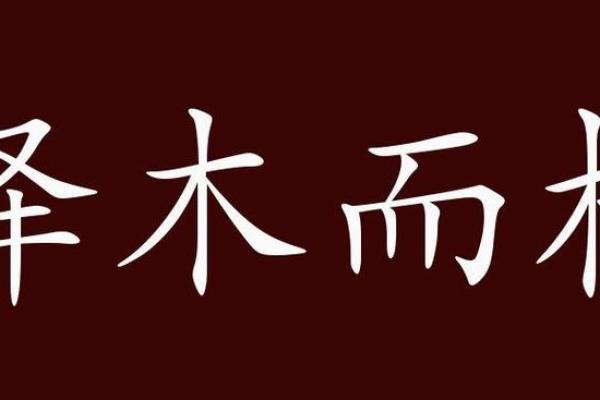 命运的选择：从命能看人生的成语智慧