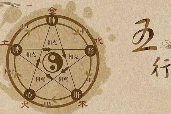 探寻五行的奥秘：木命与金命的独特魅力