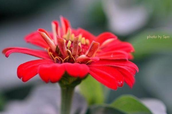 2011年木兔命解析:如何发掘和利用你的好运与潜力 2011年木兔命解析:如何发掘和利用你的好运与潜力